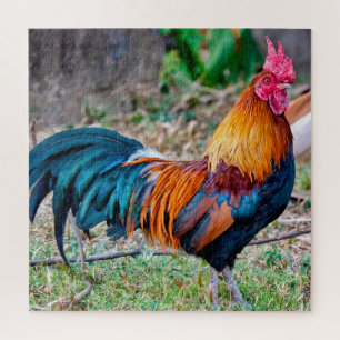 Puzzle Foie rousse