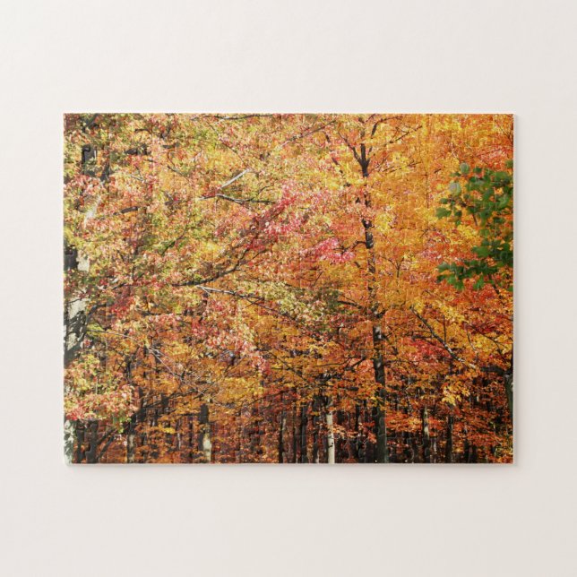 Puzzle Foliage d'automne en Nouvelle-Angleterre (Horizontal)