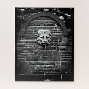Puzzle Fontaine de Lion
