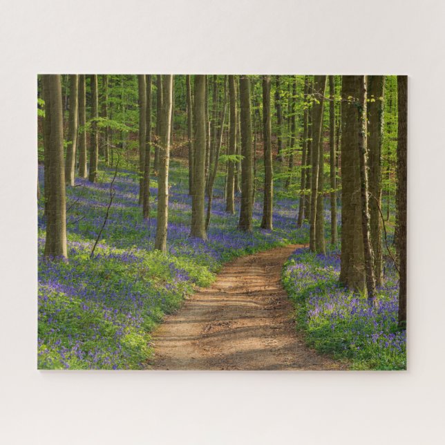 Puzzle Forest | Bluebell Forest en Belgique (Horizontal)