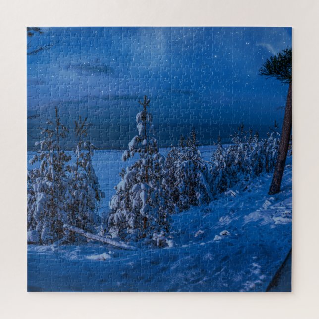 Puzzle Forest path at winter night (Vertical)