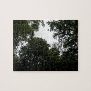 Puzzle forestier déplaisant