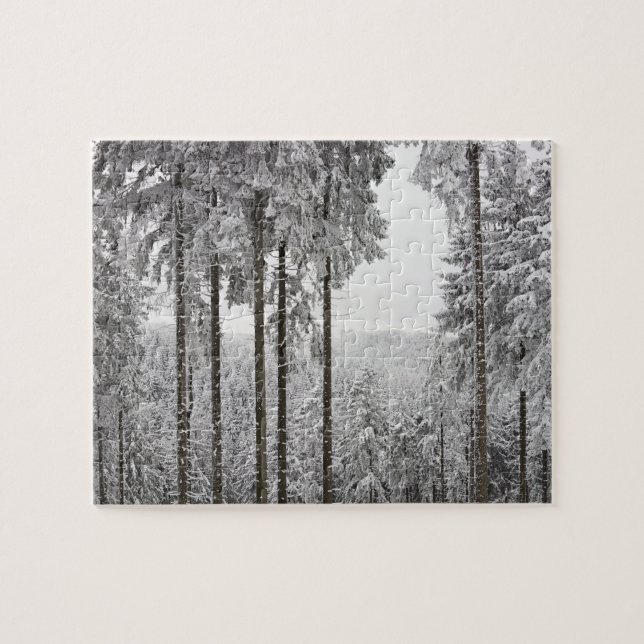 Puzzle Forêt à feuillage persistant en hiver (Horizontal)