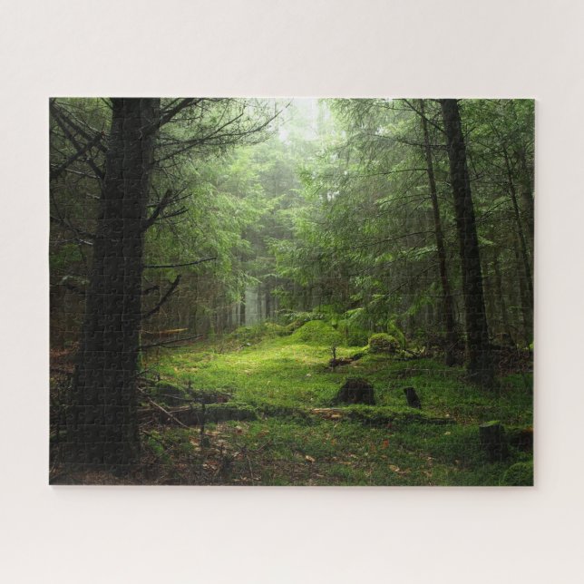 Puzzle Forêt | Auvergne France (Horizontal)