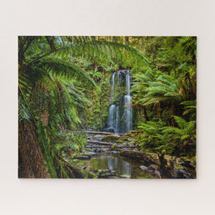 Puzzle Forêt Beauchamp Falls Australie