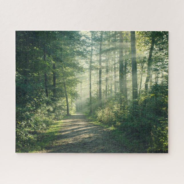 Puzzle Forêt | Chemin forestier Hambourg Allemagne (Horizontal)