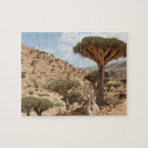 Forêt d'arbre de sang de dragon, île d'île de