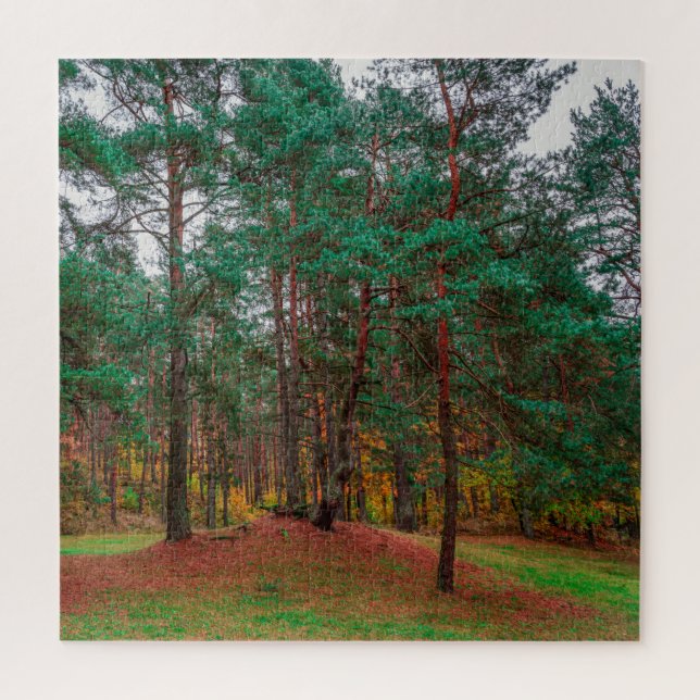 Puzzle Forêt d'automne (Vertical)