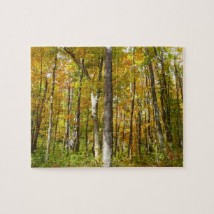Puzzle Forêt du paysage d'automne Feuille Jaune