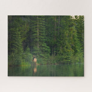 Puzzle Forêt   Elk au parc national Banff Alberta