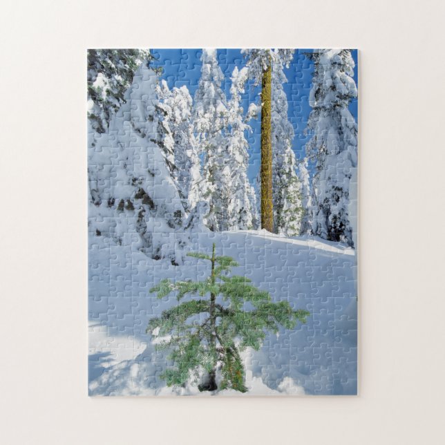 Puzzle Forêt enneigée en Oregon (Vertical)