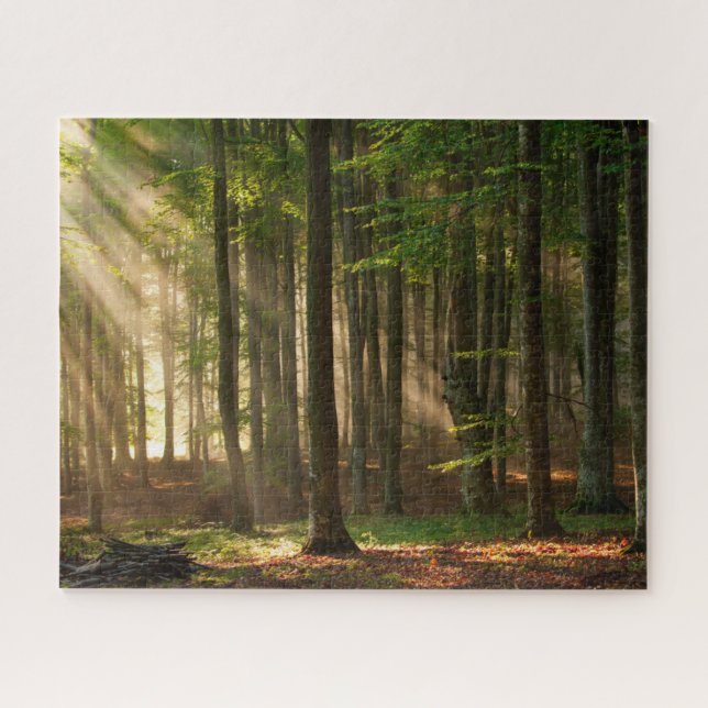 Puzzle Forêt | Forêt d'automne (Horizontal)