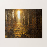 Forêt pendant l'automne | Baden Württemberg,