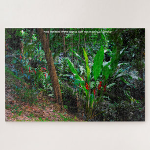 Puzzle Forêt tropicale des pluies Grenade Caraïbes. Jigsa