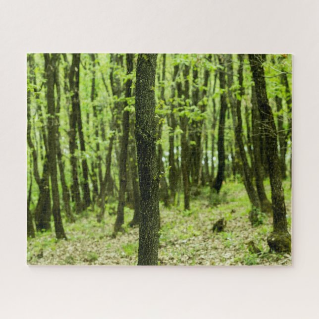 Puzzle Forêt verte (Horizontal)