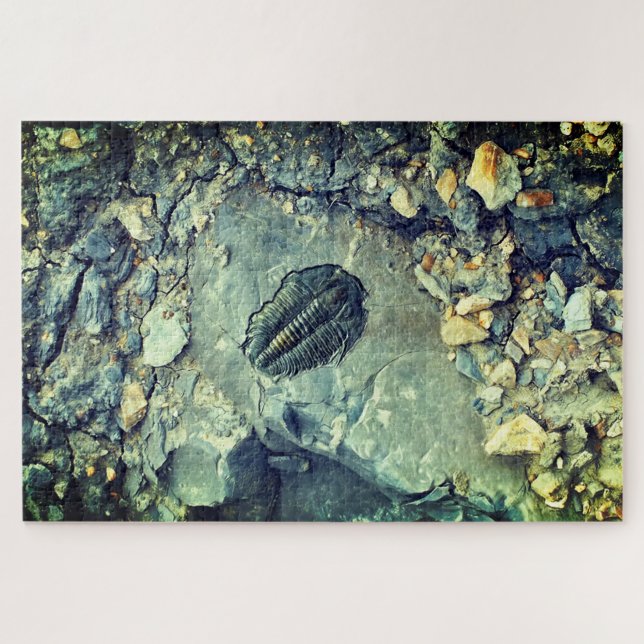 Puzzle Fossile (Horizontal)