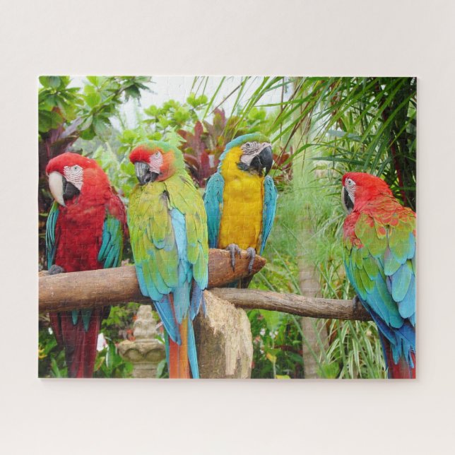Puzzle Foule de perroquets macaw colorés (Horizontal)