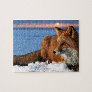 Puzzle Fox