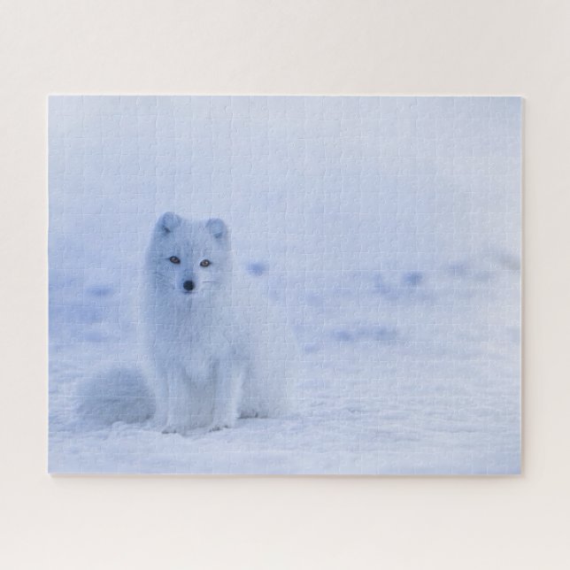 Puzzle Fox arctique de l'Islande (Horizontal)