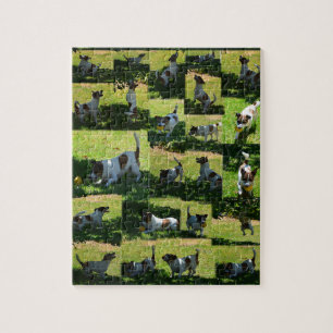 Puzzle Fox Terrier, The Hard Day, Photo Collage,