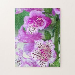 Puzzle Foxglove violet en pleine floraison