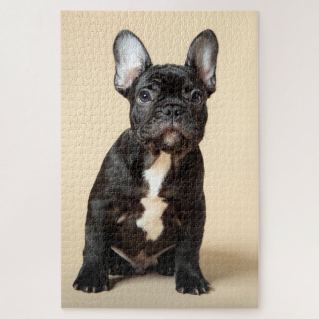 Puzzle Frenchie Puppy (Vertical)