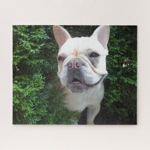 Puzzle Frenchy en patrouille