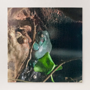 Puzzle Frogs Mystery Life no 2