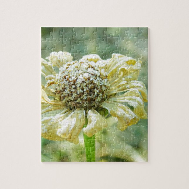 Puzzle Frosty Zinna (Vertical)