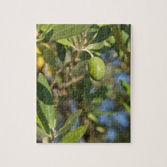 Puzzle fruit d'olive (Vertical)