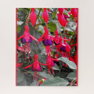 Puzzle Fuchsia
