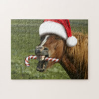 Funny Christmas horse with Santa a smiling