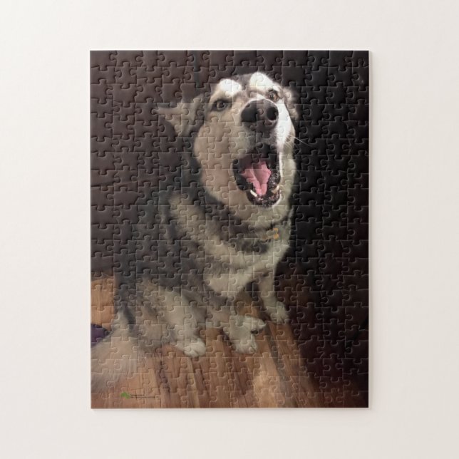 Puzzle Funny Yawning Alaskan Malamute photo (Vertical)