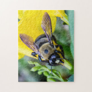 Puzzle Gaffez l'abeille