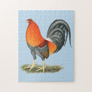 Puzzle Gamecock Blue Red Roster