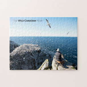 Puzzle Gannets du Nord
