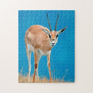 Puzzle Gazelle de Grant (Gazella Granti) Ewe Portrait