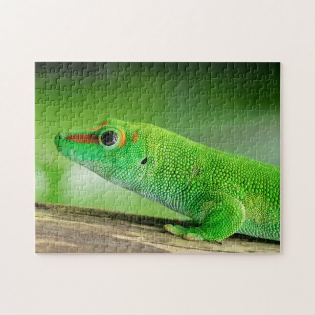 Puzzle Gecko Géant de la Journée Verte - Phelsuma grandis (Horizontal)