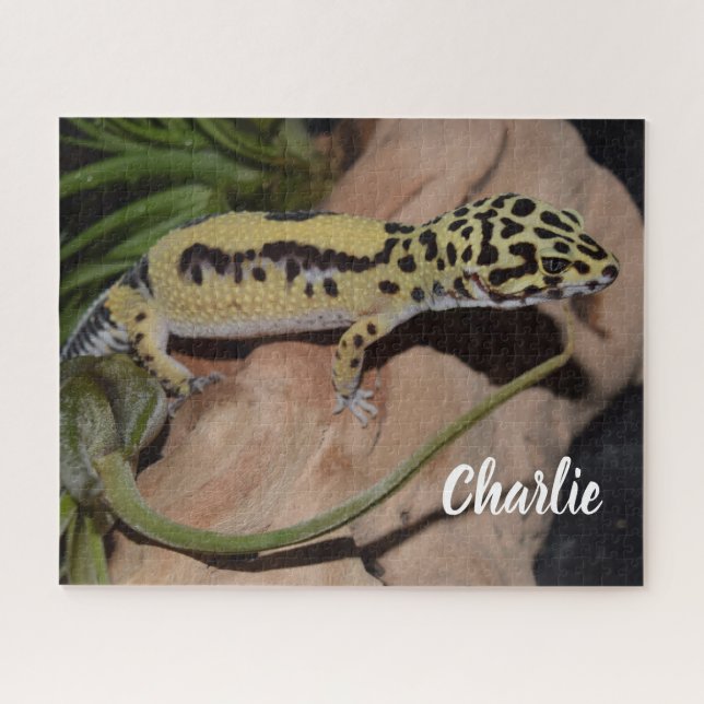 Puzzle Gecko jaune gras (Horizontal)