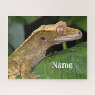 Puzzle Gecko Pet Lizard Personnalisé