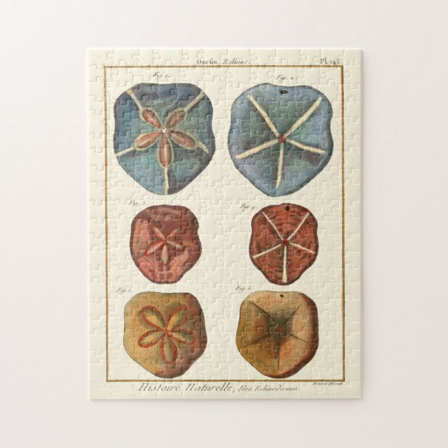 Puzzle Gemmes Dollars De Sable (Vertical)