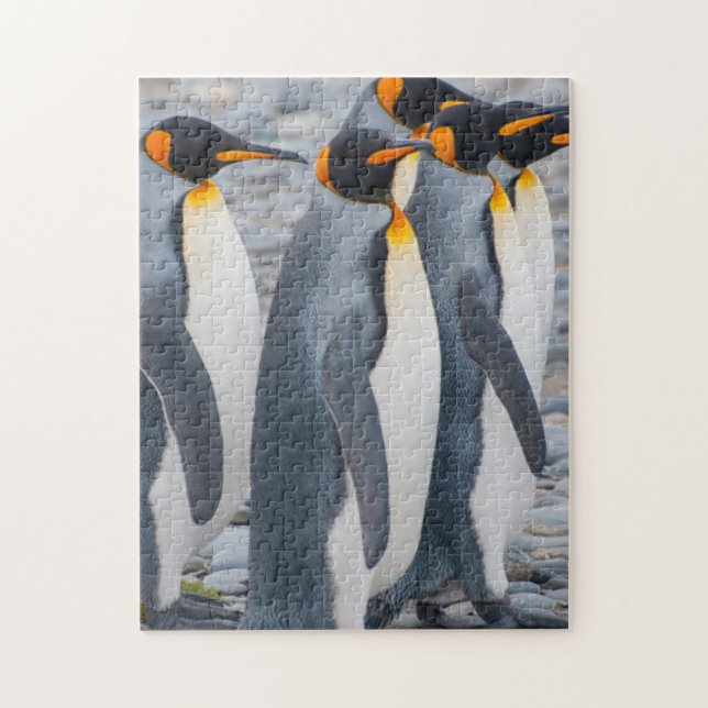 Puzzle Géorgie du Sud. Pingouins (Vertical)