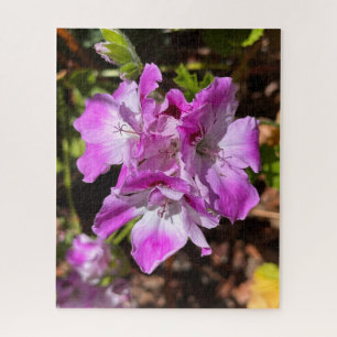 Puzzle Géranium de Martha Washington rose lavande, Oaklan
