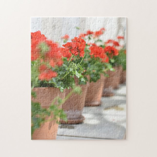 Puzzle Geraniums Pots Plantes Kew Gardens Londres UK (Vertical)