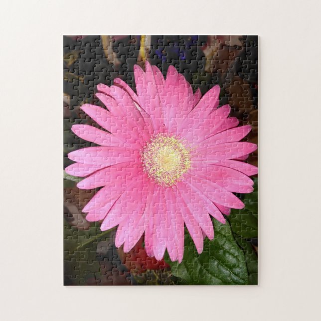 Puzzle Gerbera Rose Daisy (Vertical)