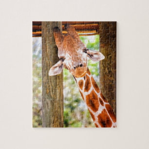 Puzzle Girafe mignonne