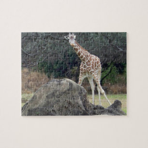 Puzzle Girafe réticulée du règne animal