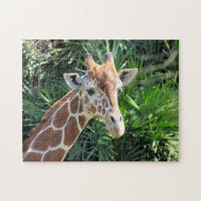 Puzzle Giraffe (Horizontal)