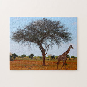 Puzzle Giraffe africaine.