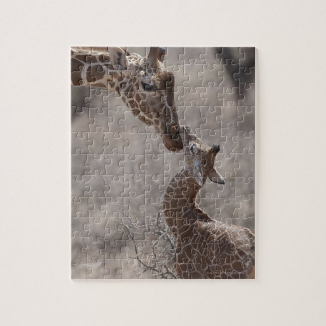 Puzzle Giraffe, Kenya, Afrique (Vertical)